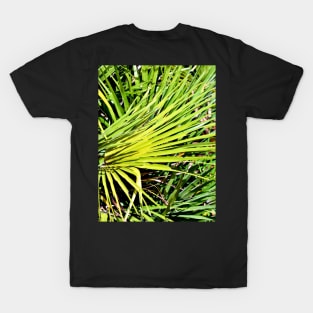 Green Palm Sound T-Shirt